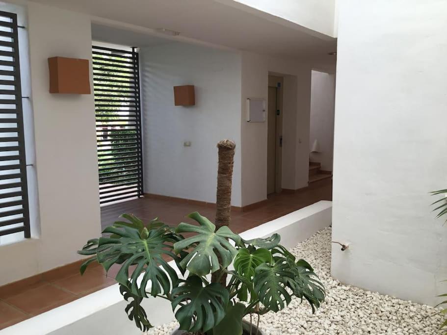 Alcazaba Blue Lagoon 3 Bedroom, Ground Floor Apartment Estepona Bagian luar foto